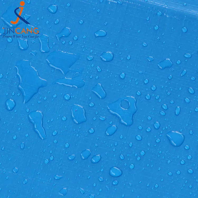 Print Pe Tarpaulin နှင့်အတူ 220g အပြာရောင်အဖြူရောင်