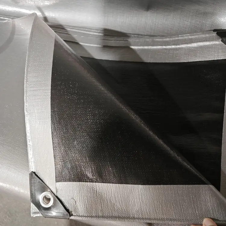 အနက်ရောင်ငွေ 240 ဗာဂျင်း Pe Tarpaulin