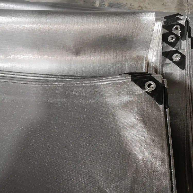 အနက်ရောင်ငွေ 240 ဗာဂျင်း Pe Tarpaulin