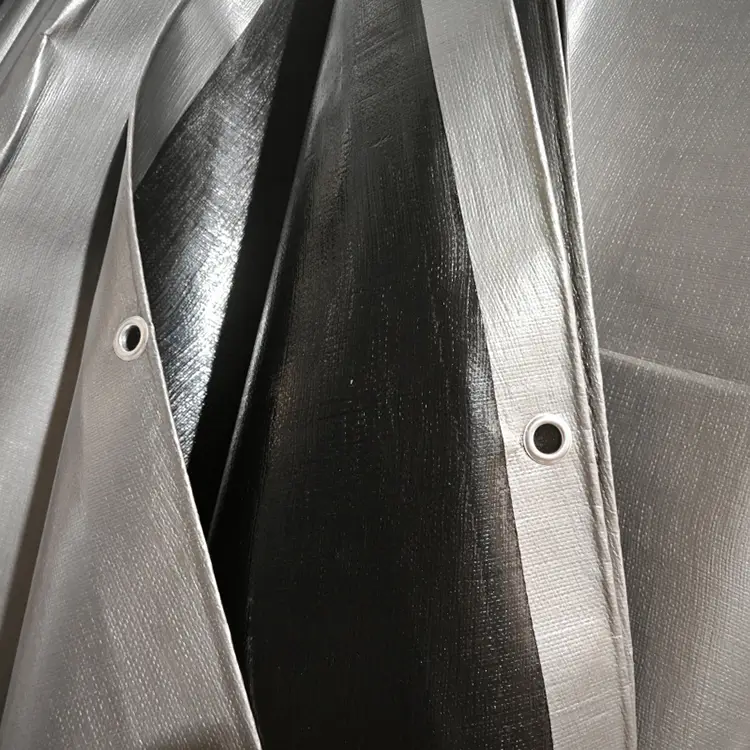 အနက်ရောင်ငွေ 240 ဗာဂျင်း Pe Tarpaulin