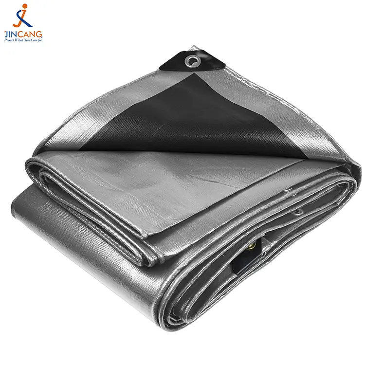 အနက်ရောင်ငွေ 240 ဗာဂျင်း Pe Tarpaulin