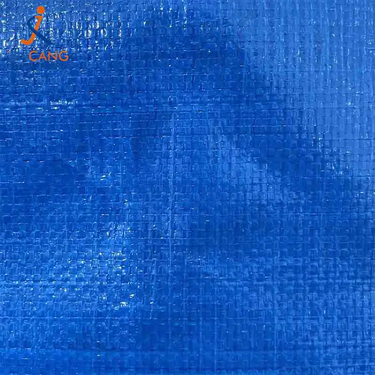 အပိုကြီးရွေ့လျားအိတ်များ