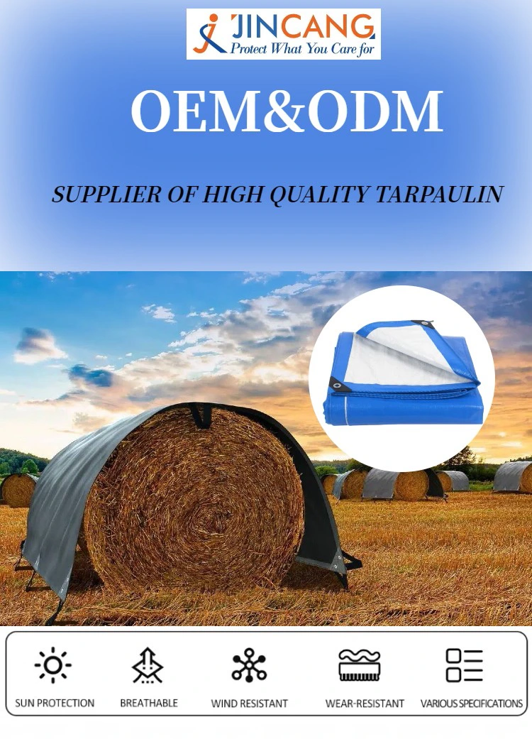 160g Blue PE Tarpaulin