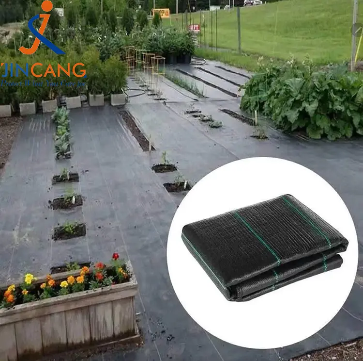 PP WEND ပေါင်းပင်ဖျာ