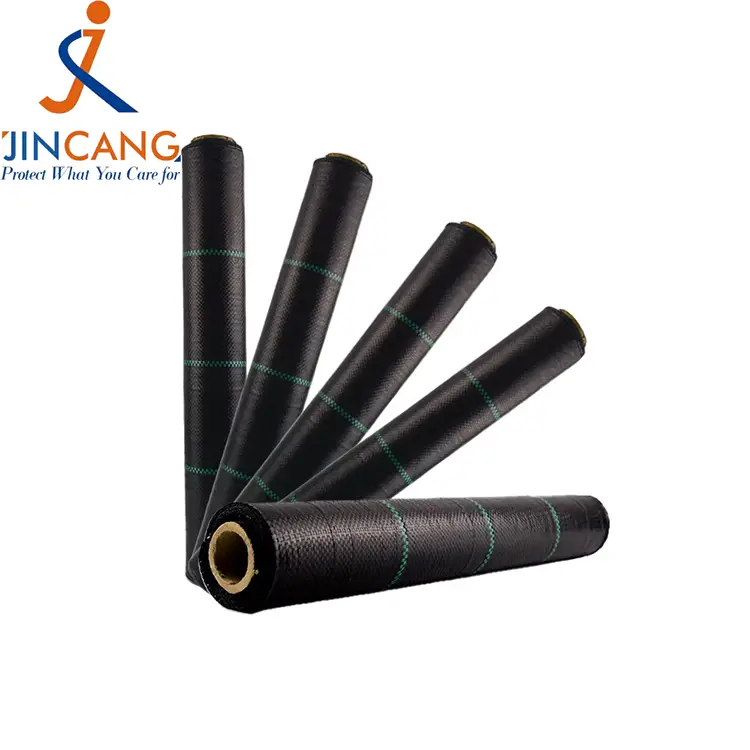 PP WEND ပေါင်းပင်ဖျာ