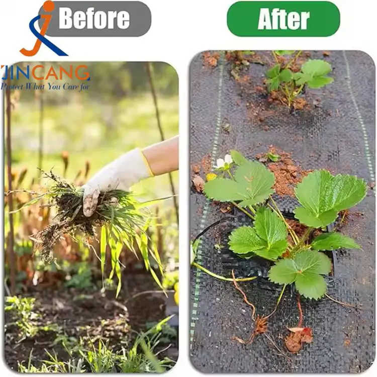 PP WEND ပေါင်းပင်ဖျာ