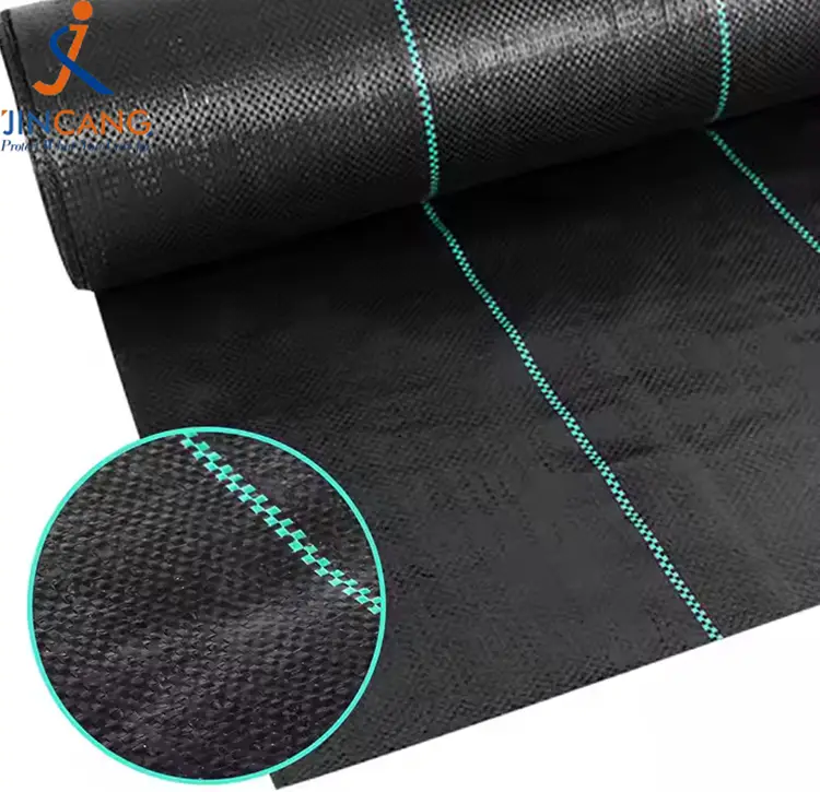 PP WEND ပေါင်းပင်ဖျာ