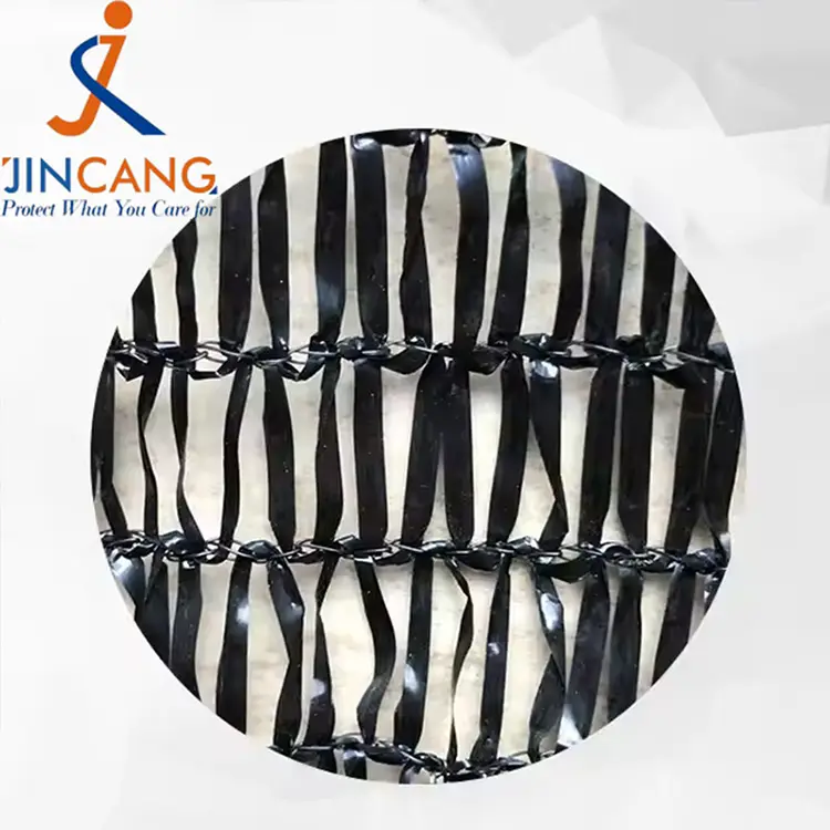 နေရောင်အရိပ်ပိုက်